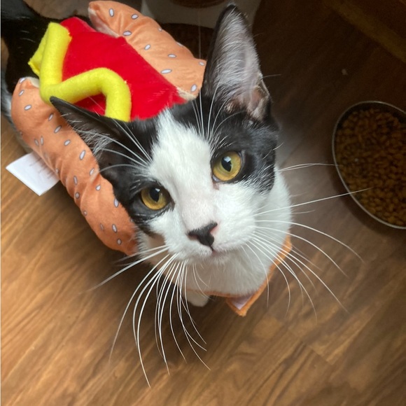 Meet your Posher, Karissa - Picture 1 of 1